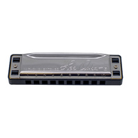 D Diatonic Harmonica 10 Hole