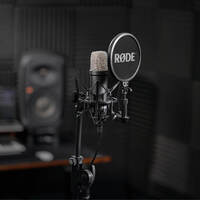 NT1 Signature Series Studio Condenser Microphone